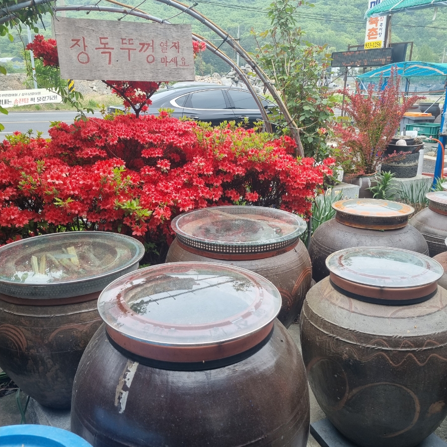할매묵촌 사진 6