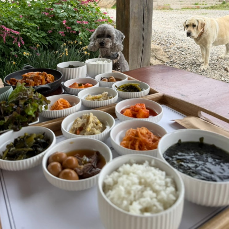 당진 은봉산장 애견동반 식당 강아지랑 야외 식사 메뉴