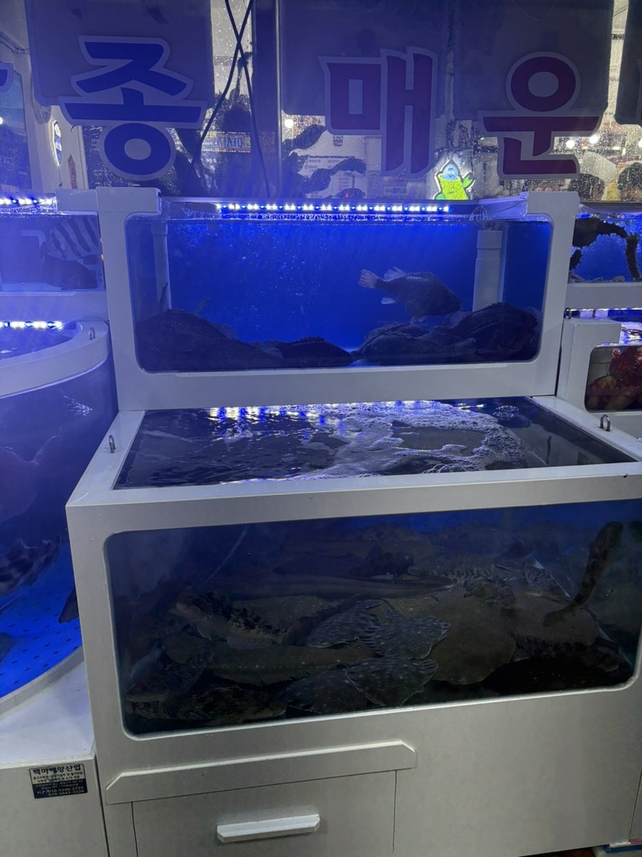 그곳에가면 사진 3