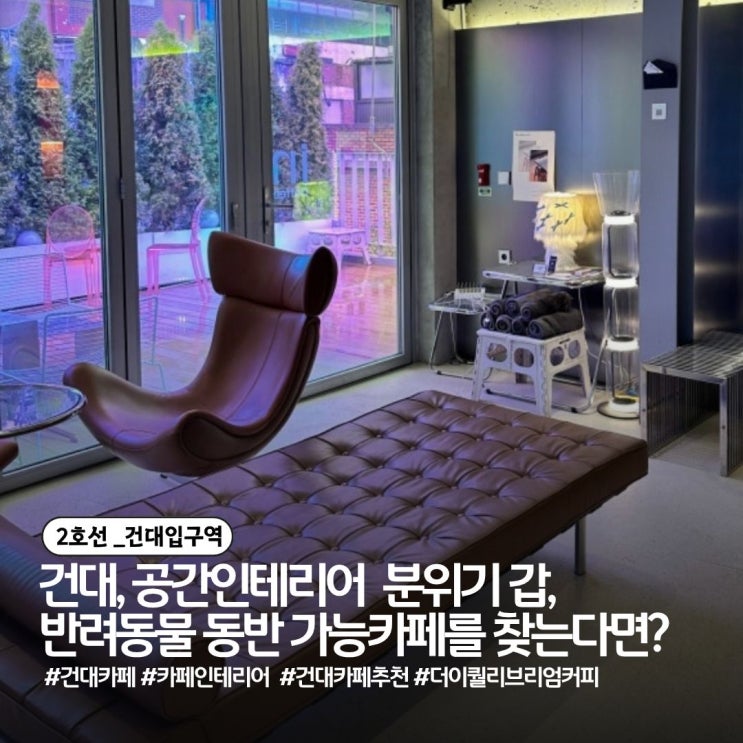  [건대카페] 더이퀄리브리엄커피, 귀여운 강아지가 반겨주는 도심 속 진짜 힐링공간 - 층별 반전 매력 듬뿍! ️