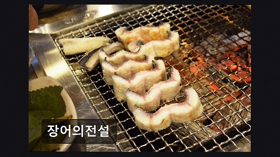 장어의전설 사진 4