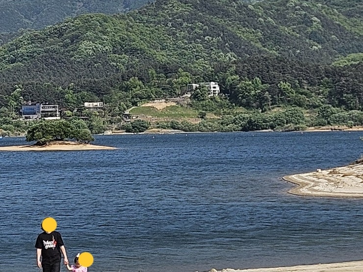 나루터장어 사진 2
