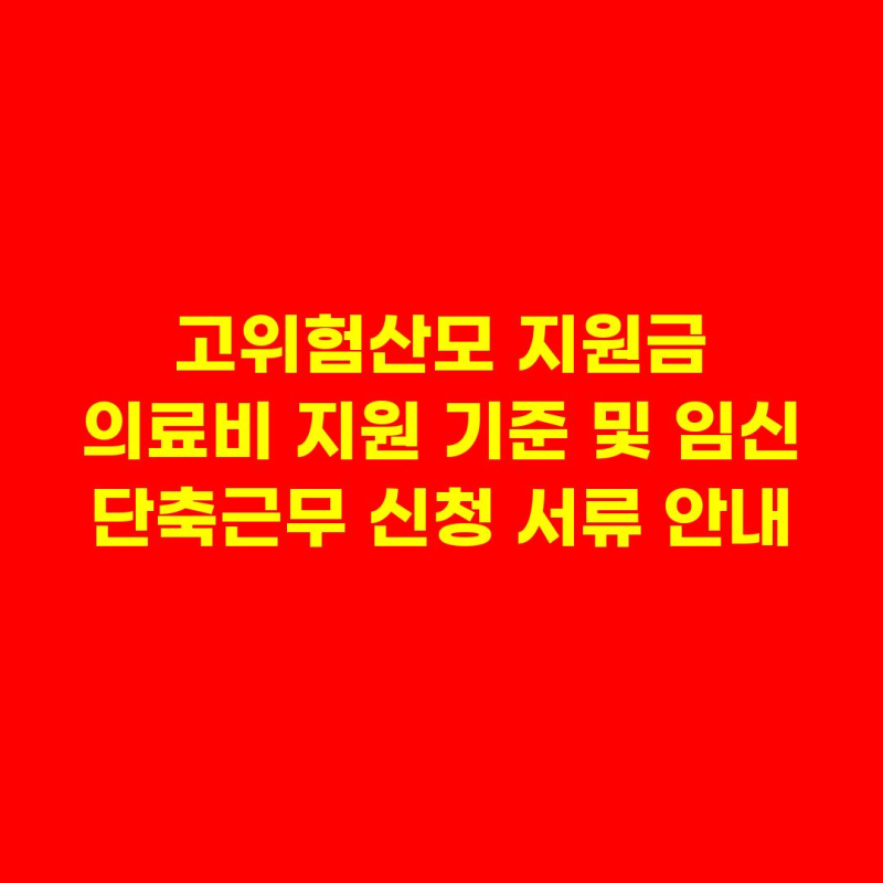 고위험산모 지원금 의료비 지원 기준 및 임신 단축근무 신청 서류 안내
