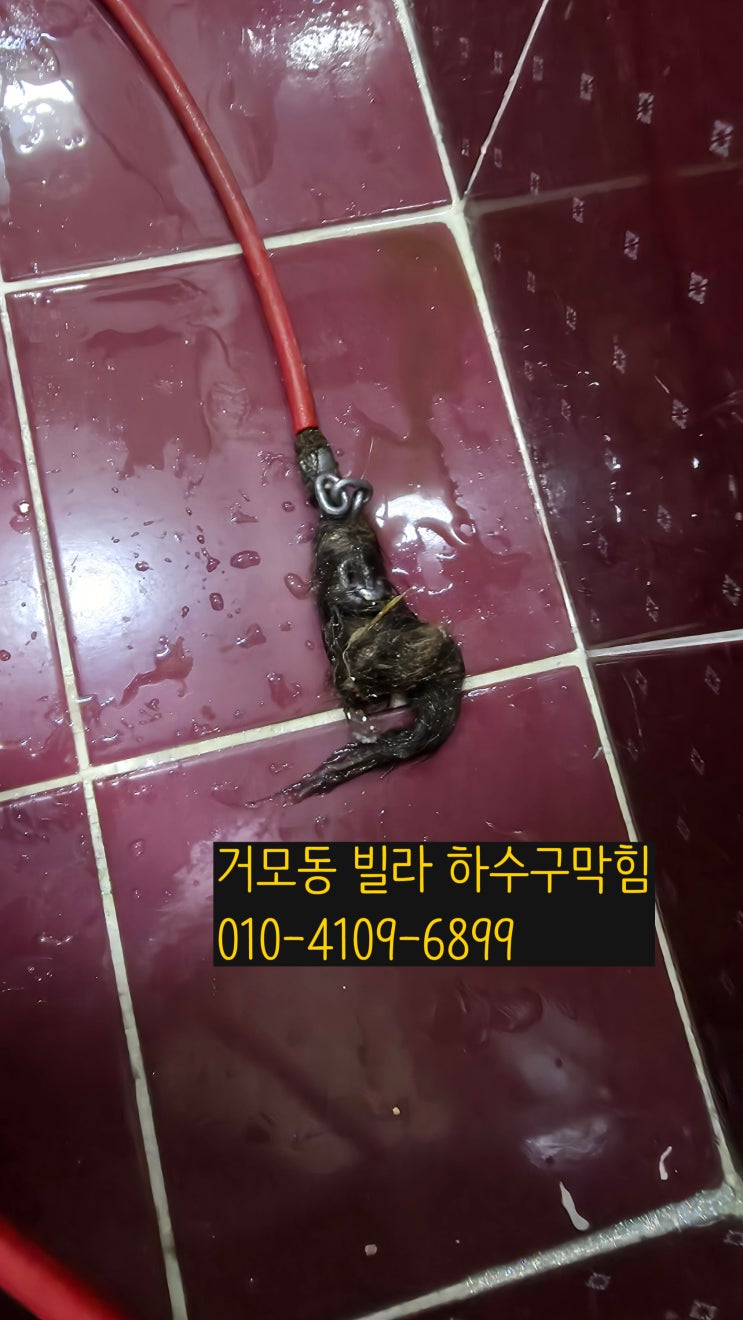  거모동하수구막힘 "화장실 막혀서 물이 안내려가요?"