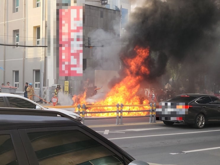  [속보] 포항 대도동 주택가 도로에서 구형 벤츠 차량 화재로 전소, 인명 피해 확인 중