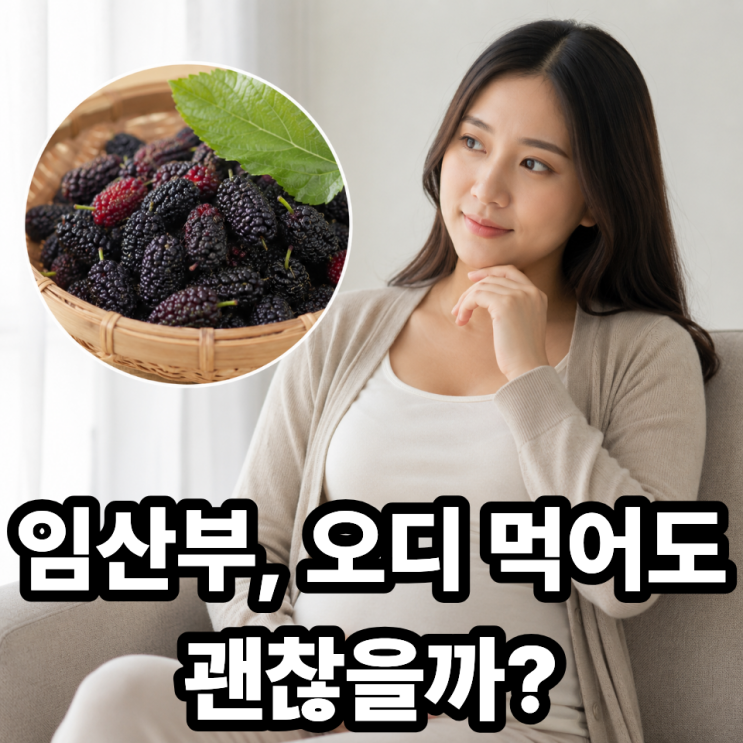  오디 임산부 먹어도 될까? 안전성부터 섭취 주의사항까지 정리