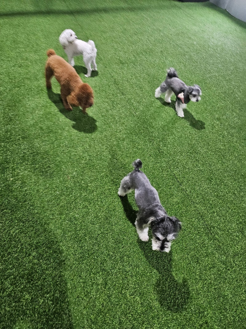 사진 4