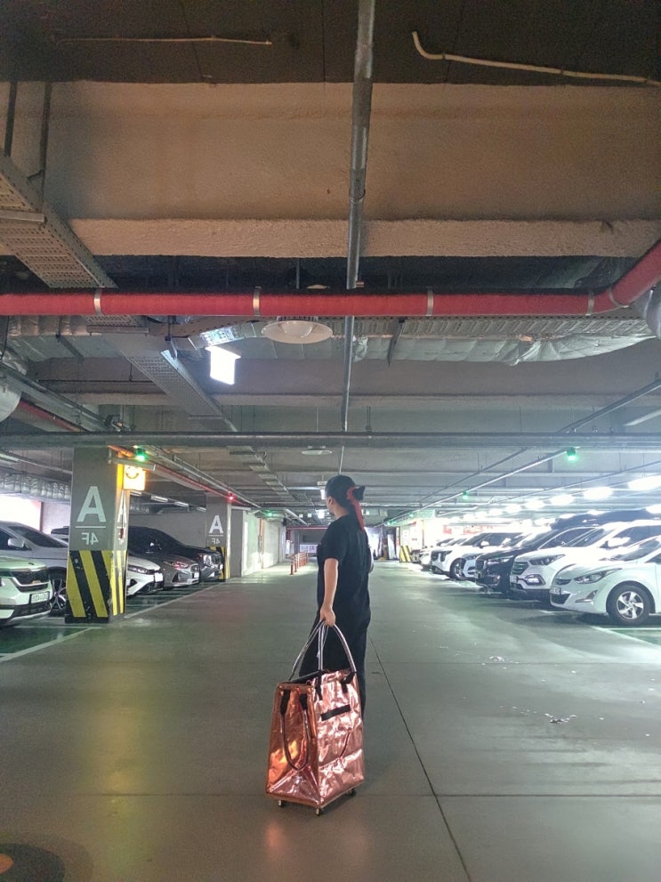  제니 롤링 카트 나도?