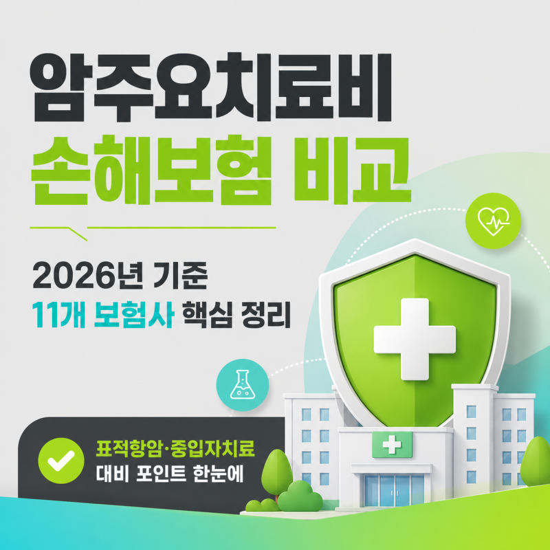 암주요치료비 손해보험 11개사 비교 | 보험료·환급률·병원기준 한눈에