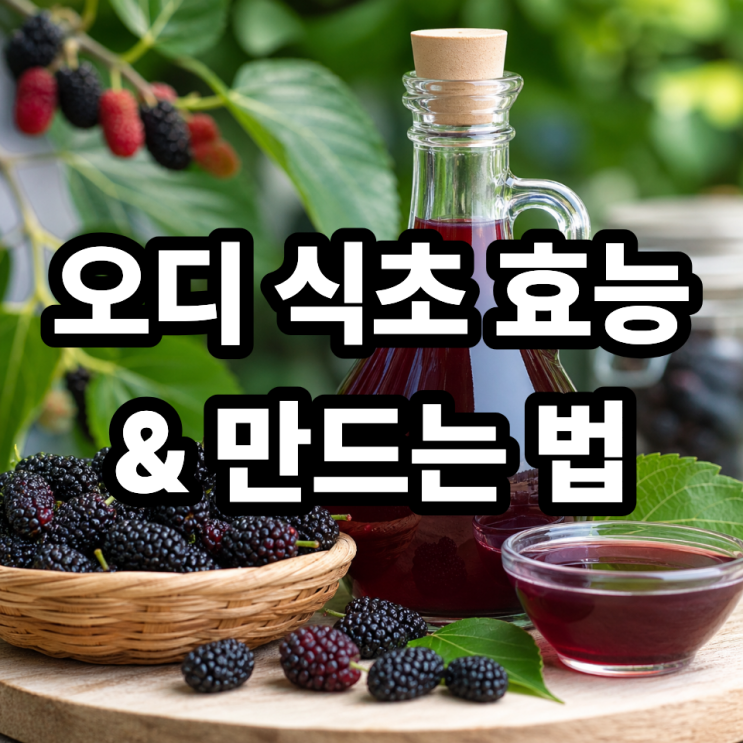  오디 식초 효능  집에서 만드는 방법까지 한 번에 정리