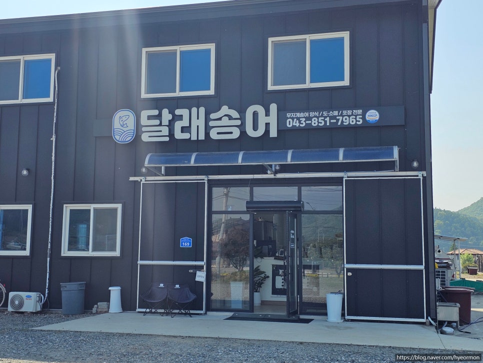 달래송어 사진 3