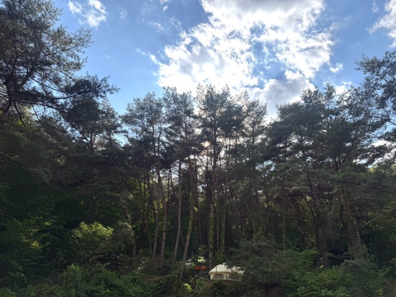 월악산국립공원 덕주야영장 B구역 후기 (w/ 미니멀웍스 브이하우스)