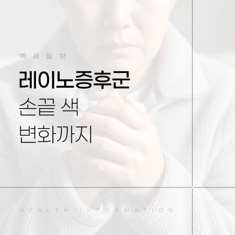 레이노증후군 증상 초기 신호부터 손끝 색 변화까지 총정리