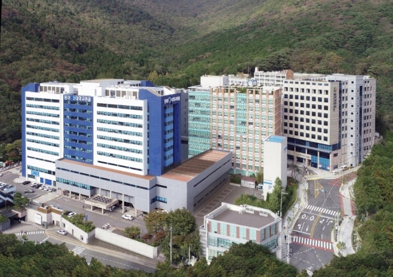 동아대 응급의료센터 부산 간병인 정다운 간병협회