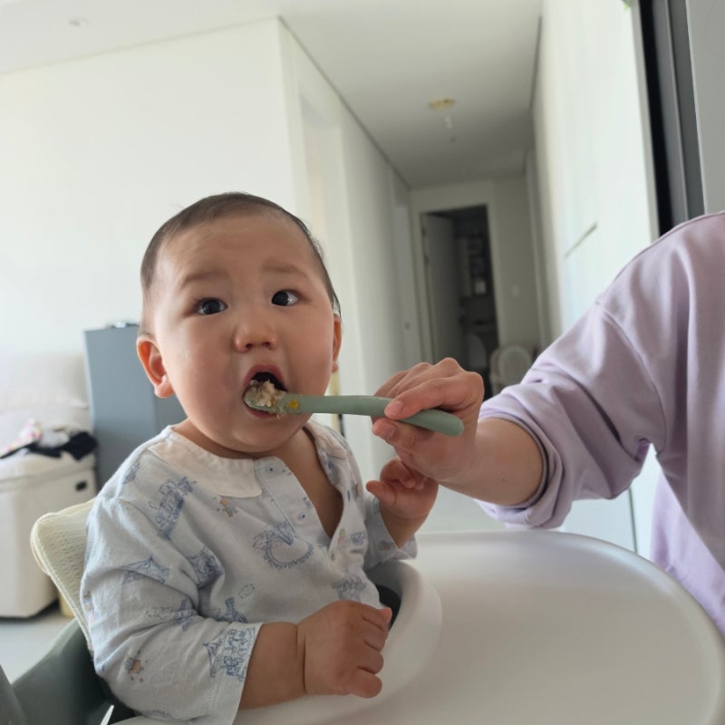 10개월 후기 이유식: 쿠첸 밥솥 만능찜 모드로 뚝딱! 소고기 채소 죽 레시피 (식단공유)