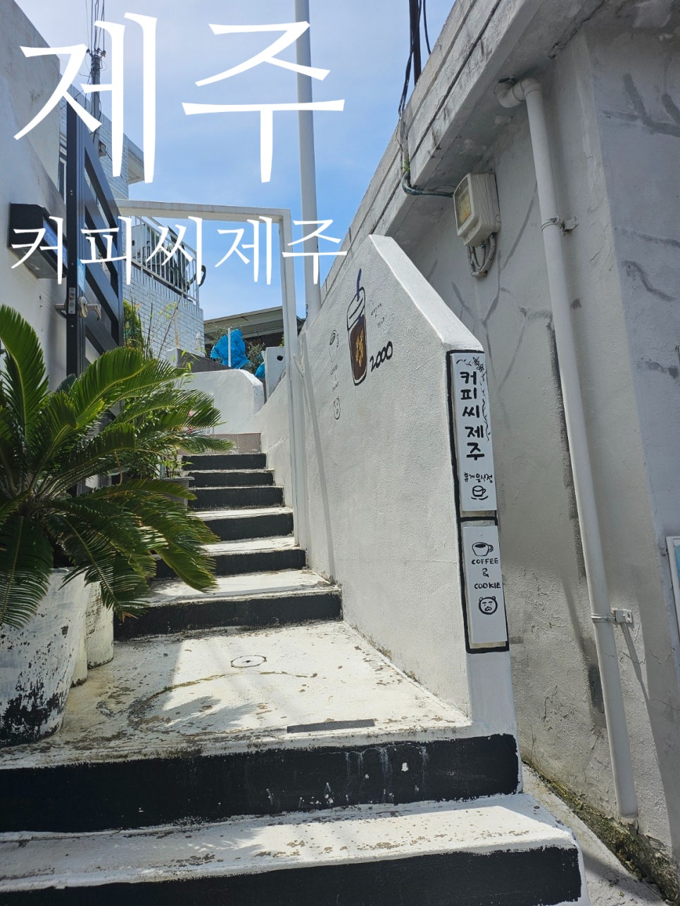커피씨제주 사진 1