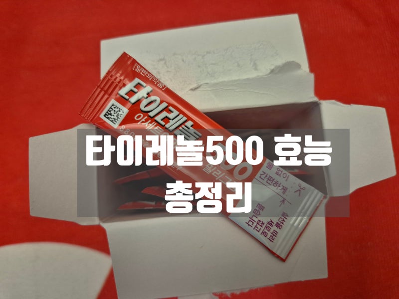 타이레놀500 효능 정리! 가루형과 알약형 차이점은?