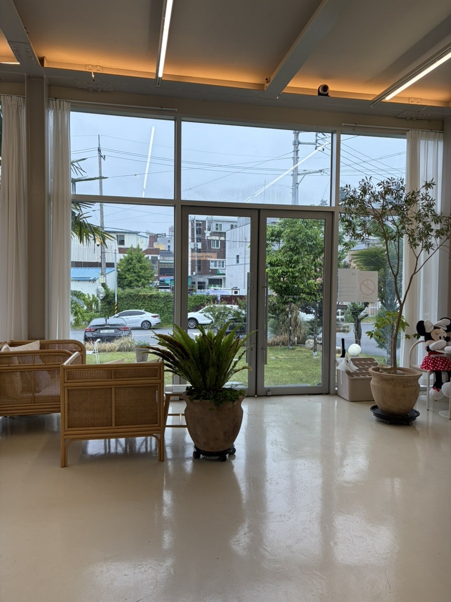 누메논 사진 4