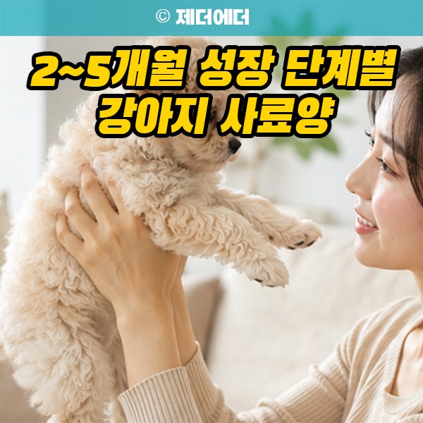 성장 단계별 강아지 사료량, 2개월 3개월 4개월 5개월
