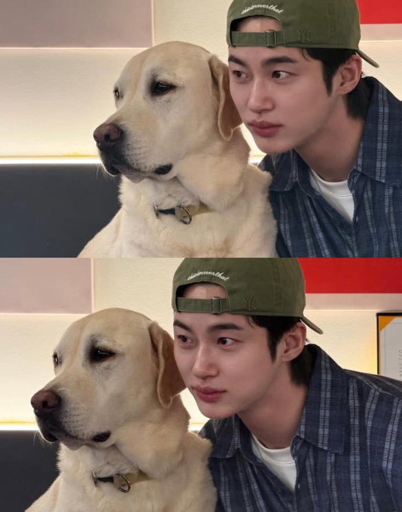 변우석 누나 프로필 나이 키 직업 대한항공 승무원 영상 화제 이유와 21세기 대군부인 가족 ....