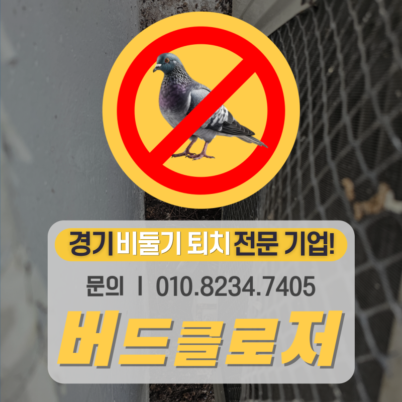 수원 비둘기퇴치 아파트 베란다 난간 실외기 새똥 청소 퇴치 방법