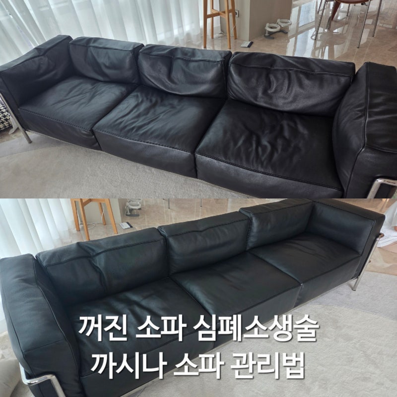 [리빙 처방전] 까시나 LC3 가죽 관리법: 내과 의사가 제안하는 '소파 심폐소생술'