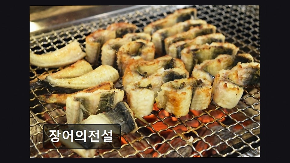 장어의전설 사진 1