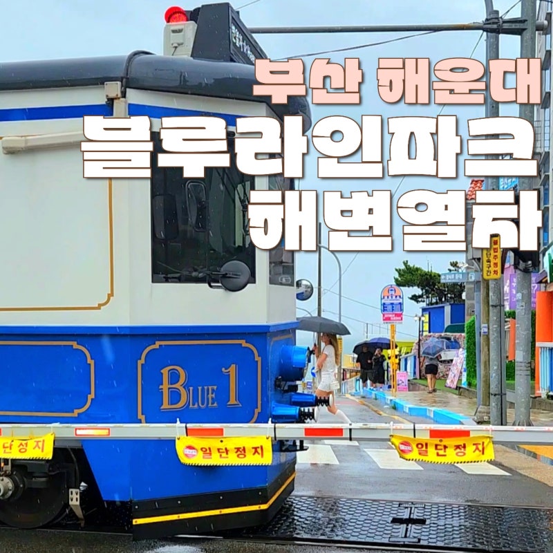 부산 해운대 블루라인파크 해변열차 예약 왕복 추천 코스 후기