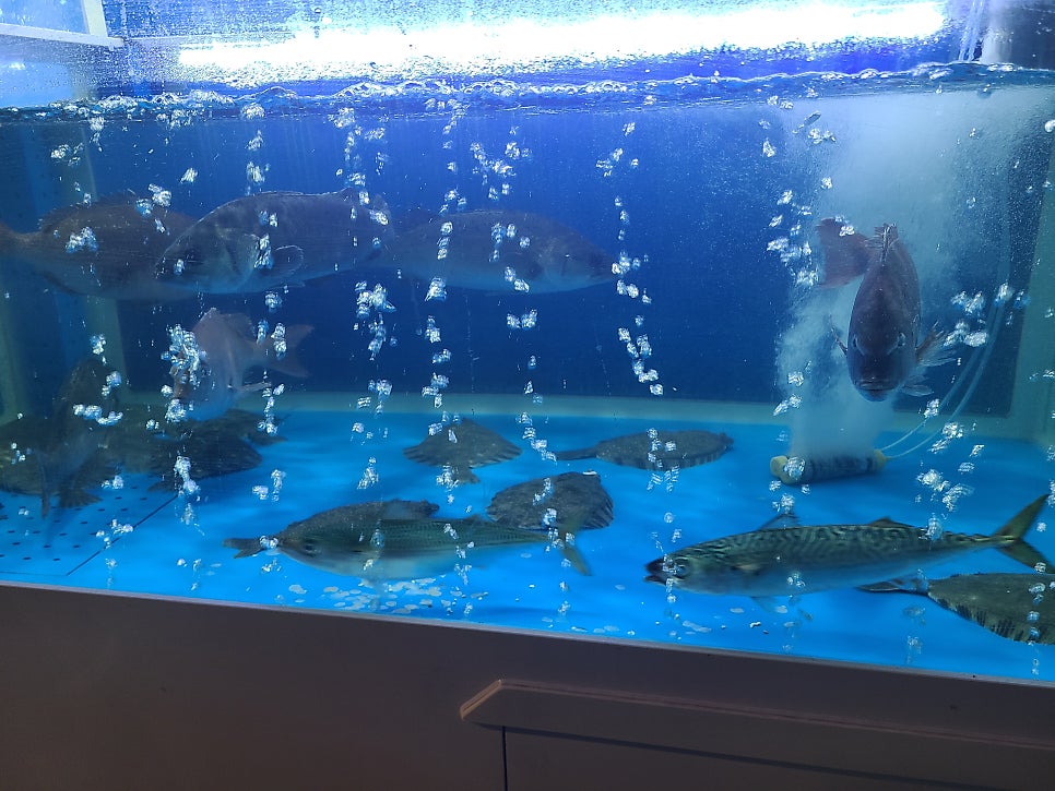 태양수산 사진 2