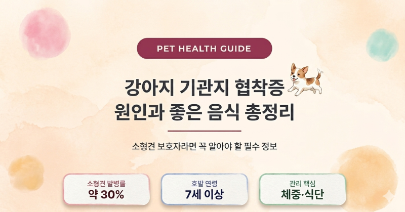 우리 강아지가 켁켁거린다면? 기관지 협착증 원인과 좋은 음식