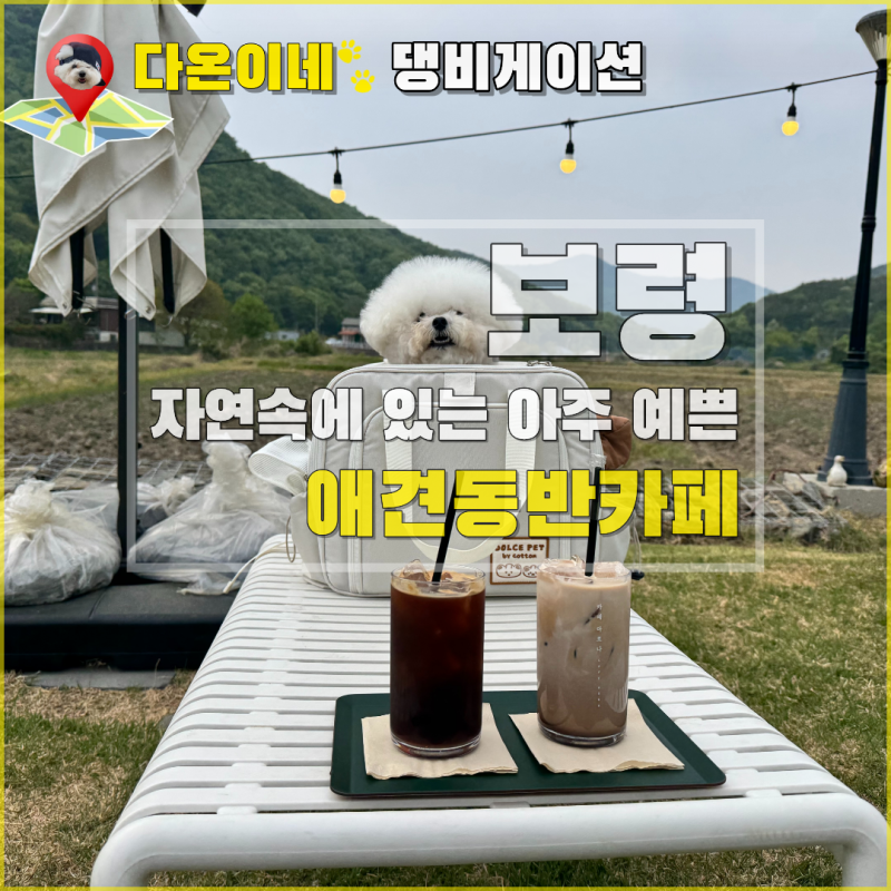 보령 애견동반 카페 - 자연으로 둘러싸인 카페 아르나