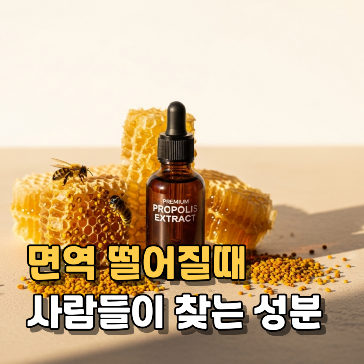  프로폴리스 효능 부작용 섭취방법 총정리 | 목 아플 때만 먹는 거 아닙니다