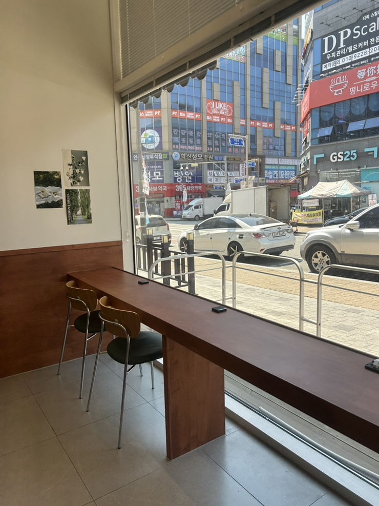 노이 사진 4