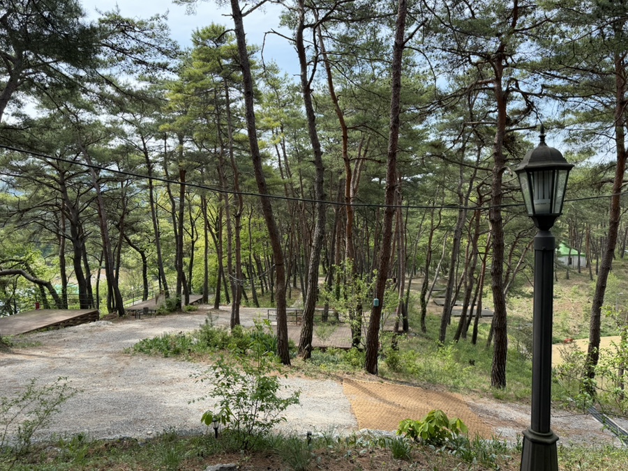 한반도솔숲쉼터 사진 4