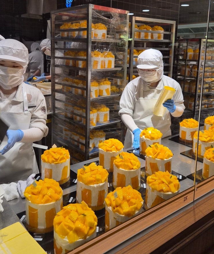  [가시 Food실록] 대전 성심당 망고시루 오픈런 후기!(롯데백화점, 웨이팅, 빵 종류)