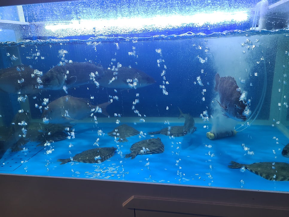 태양수산 사진 1