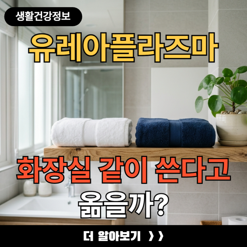 유레아플라즈마 화장실 같이 쓴다고 옮을까 전염 경로의 진실과 거짓