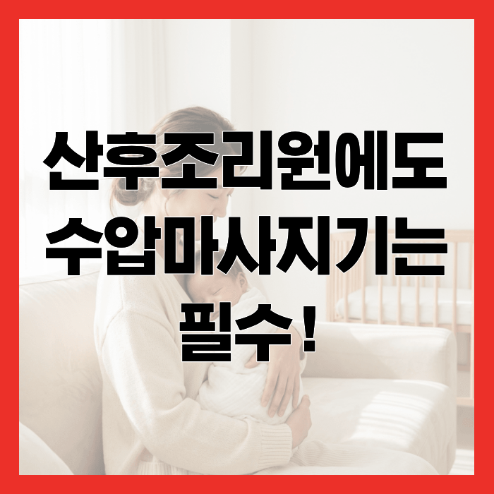 [ 수압마사지기 아쿠아라인 ] 산모들이 너무 좋아하는 산후조리원 물침대 안마기!