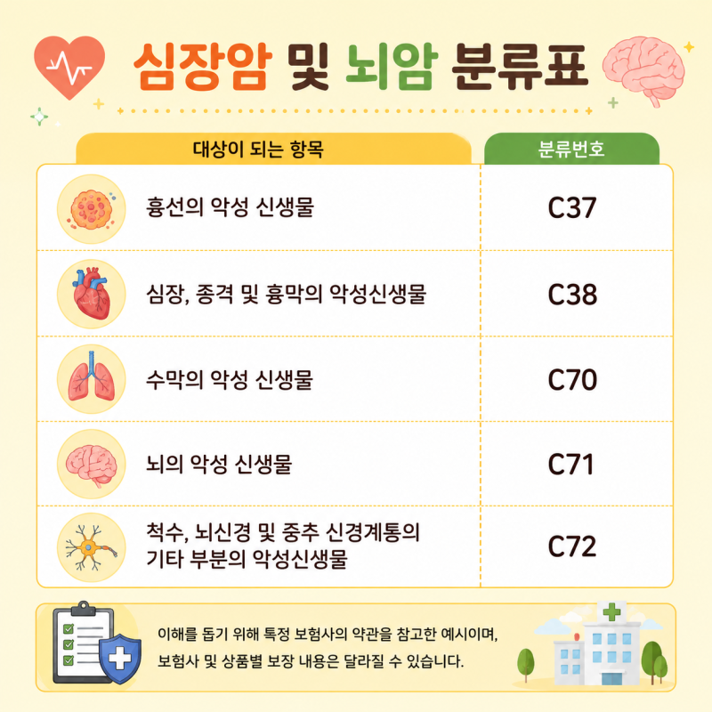 뇌심 보험에서 꼭 확인해야 하는 중증암·고액암 특약 기준