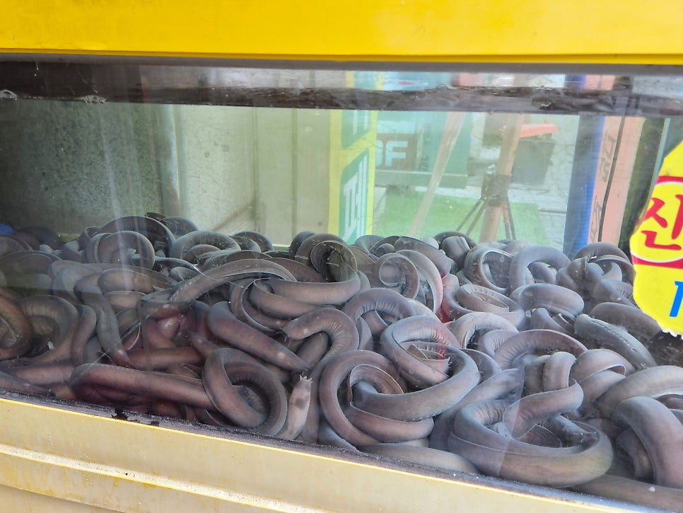 황금풍천장어숯불꼼장어 사진 3