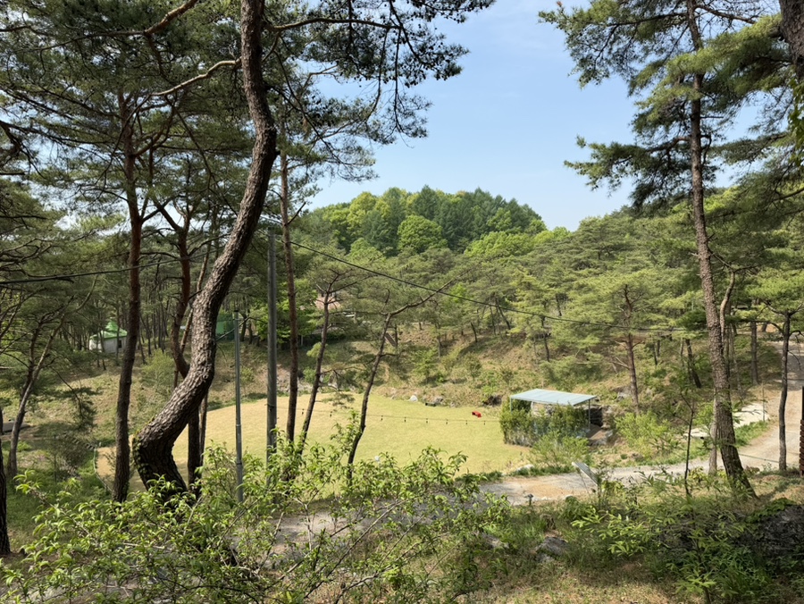 한반도솔숲쉼터 사진 3