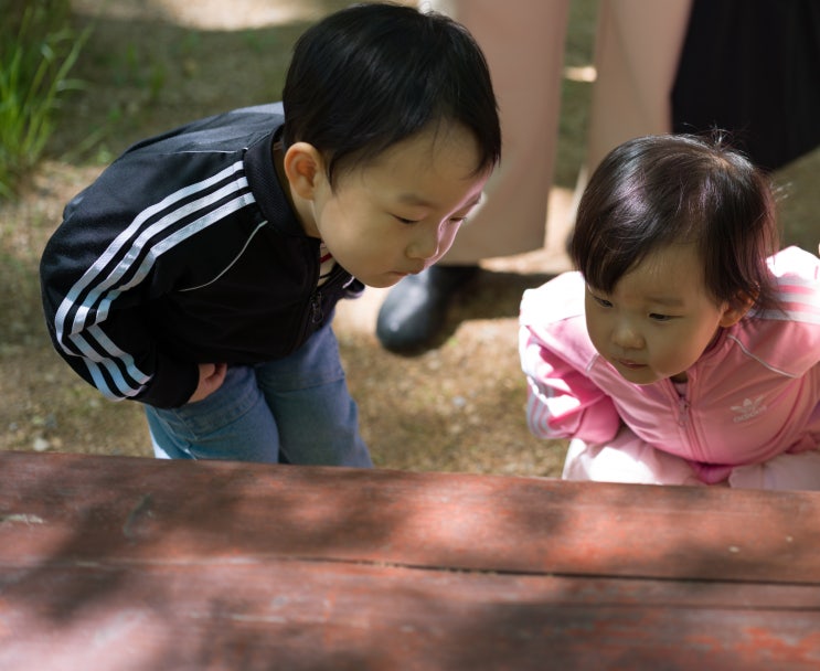  서울 근교 파주 가볼만한곳 삼릉, 인파 눈치게임 성공하고 0원으로 놀고 온 후기
