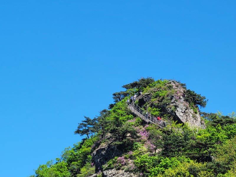 대전 계룡산등산코스 동학사코스(동학사-남매탑-삼불봉-관음봉 원점회귀)