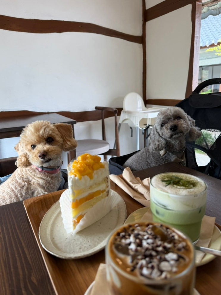  당진 대동샘 한옥 애견동반 카페 케이크 맛집