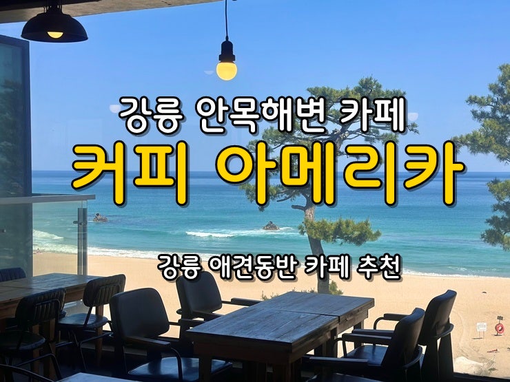 강릉 안목해변 카페 [커피 아메리카 강릉점], 강릉 애견동반 카페 추천