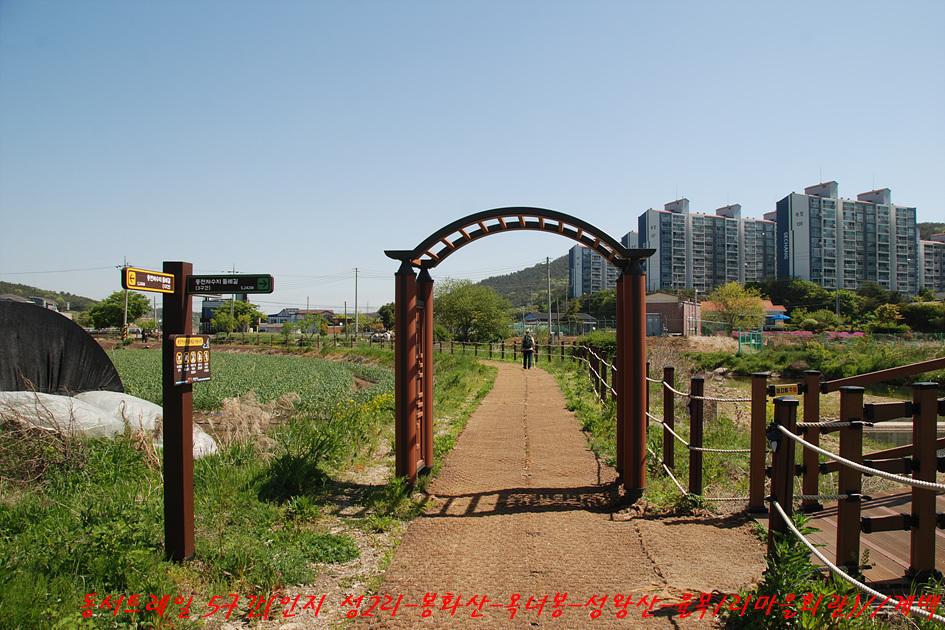 성왕산 사진 5