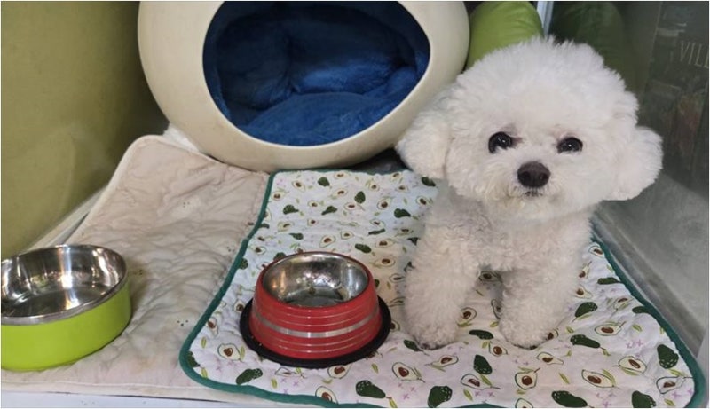사진 6