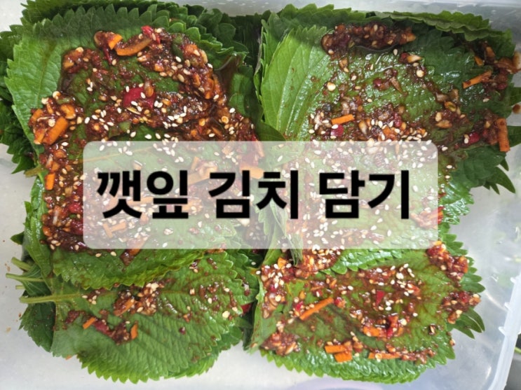  깻잎김치 담기