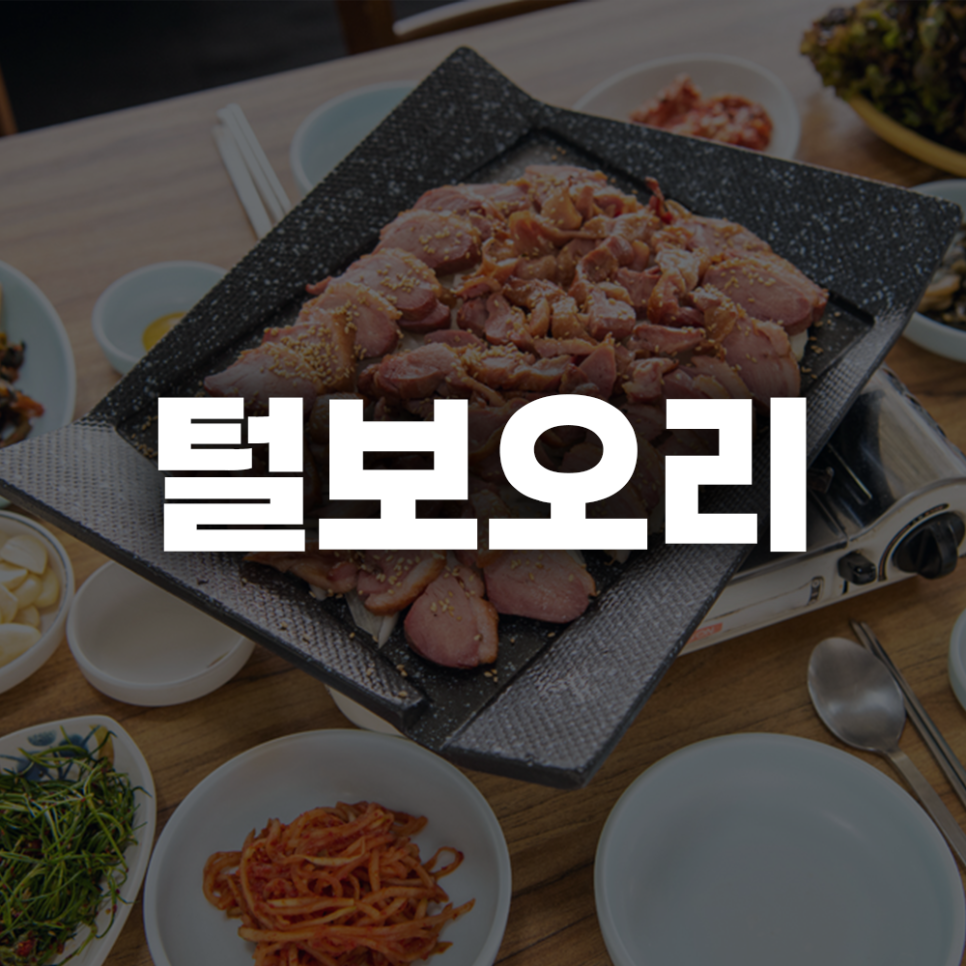 털보오리 사진 1