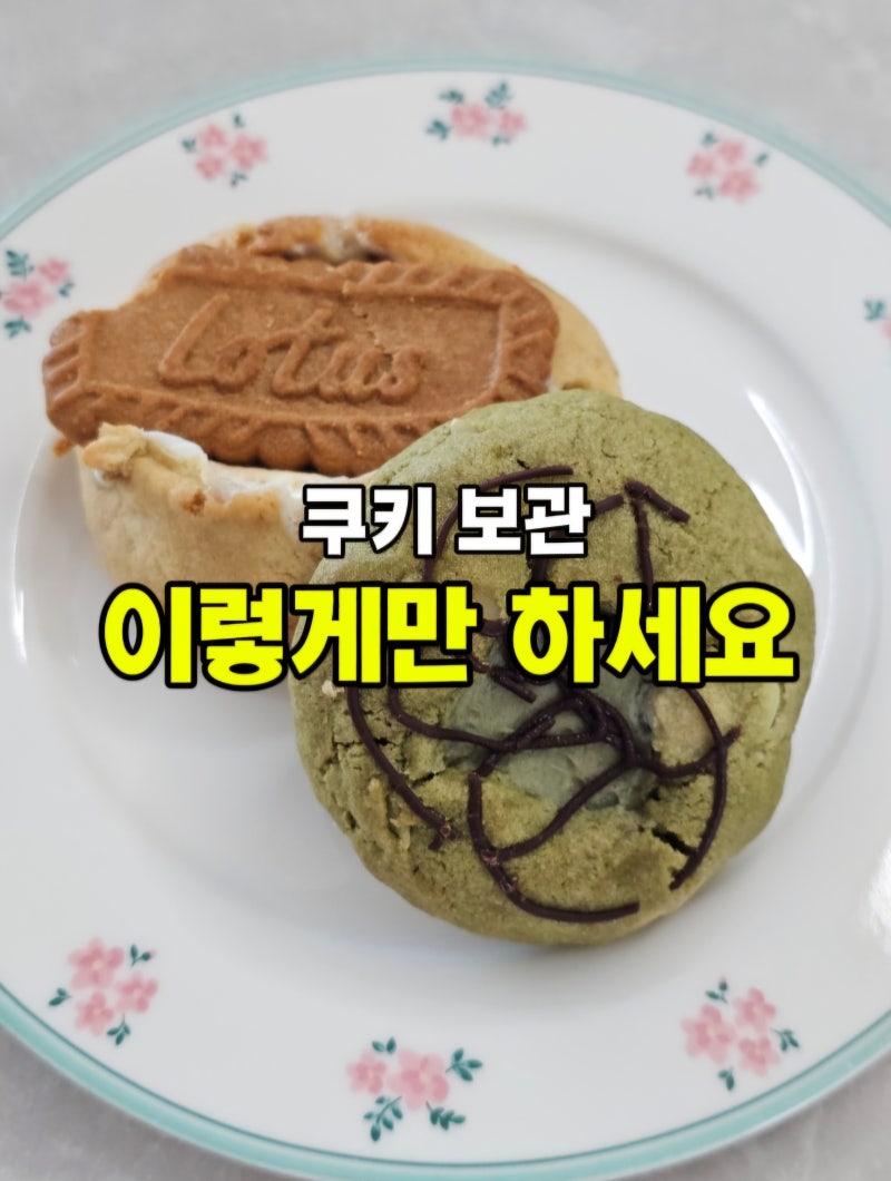 “이렇게 하면 망한다고?” 수제 쿠키 보관법, 계속 눅눅했던 이유
